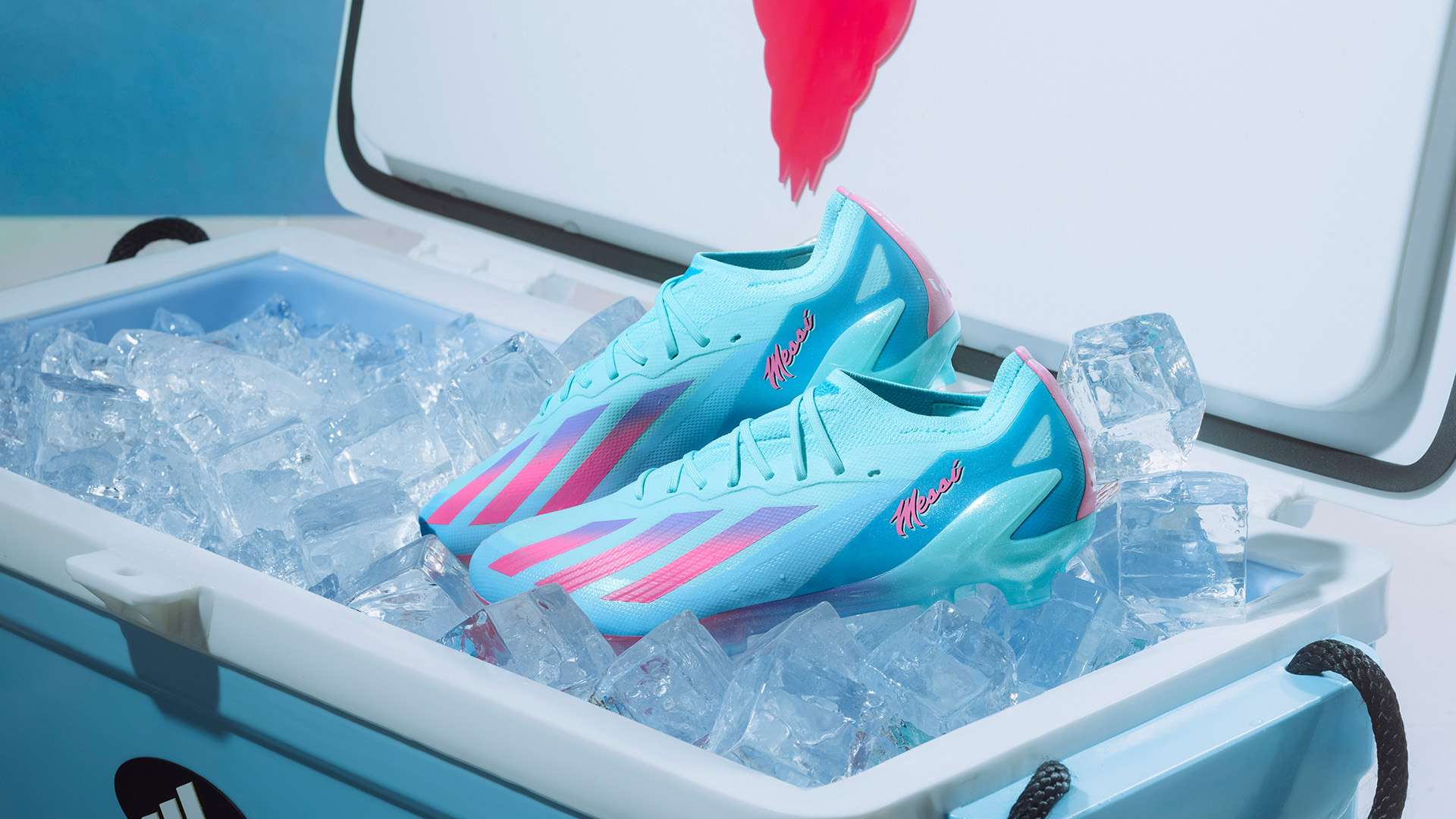 瑞士的比赛 瑞士的比赛