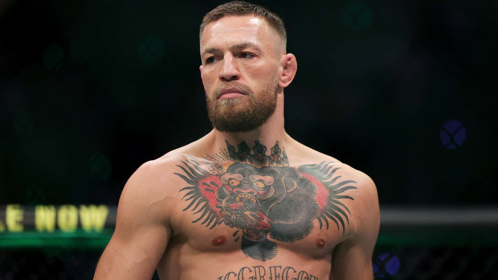 防守端的薄 防守端的薄